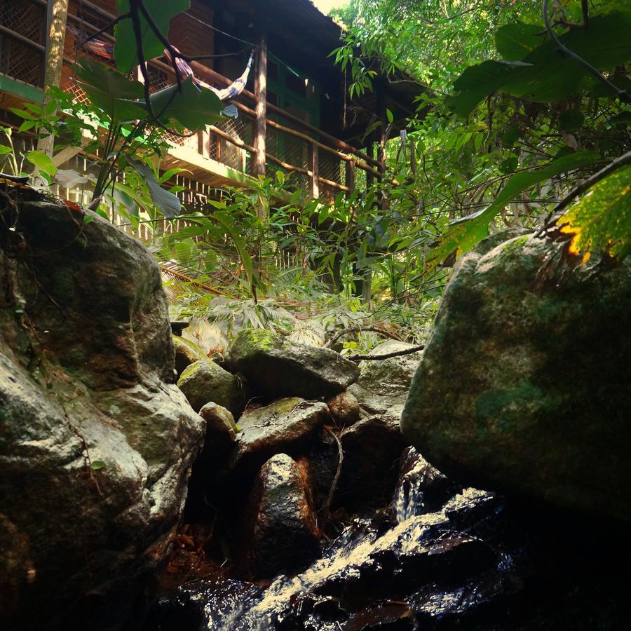 Pousada Sitio Dos Tucanos Florianópolis 外观 照片