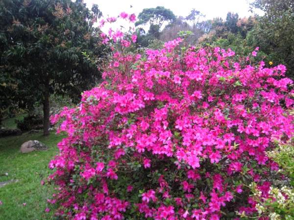 Pousada Sitio Dos Tucanos Florianópolis 外观 照片