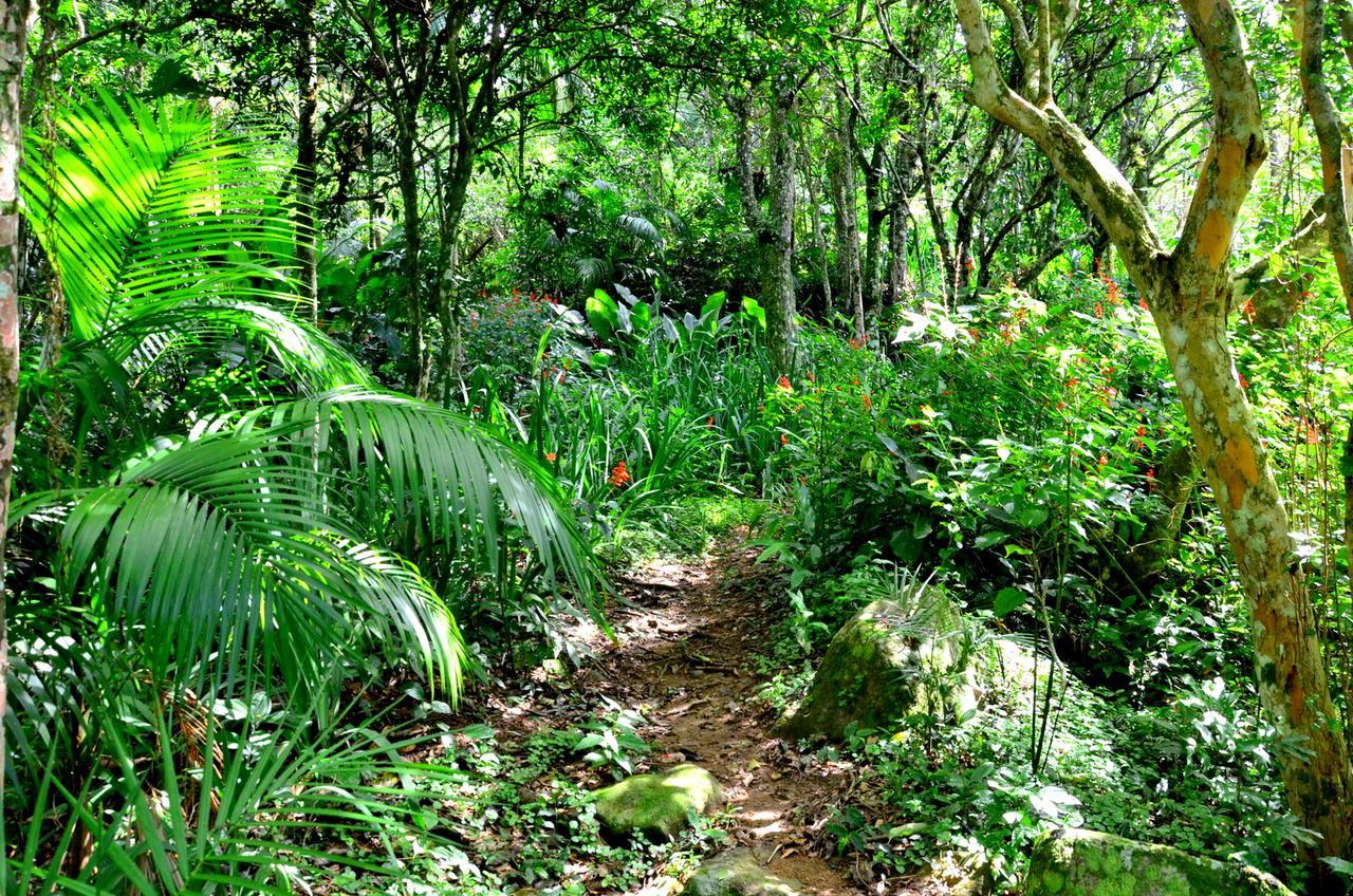 Pousada Sitio Dos Tucanos Florianópolis 外观 照片